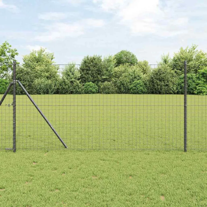 Pagrindo Suvirintas Vielos Tvora 25 x 1 m (Plotis x Aukštis)