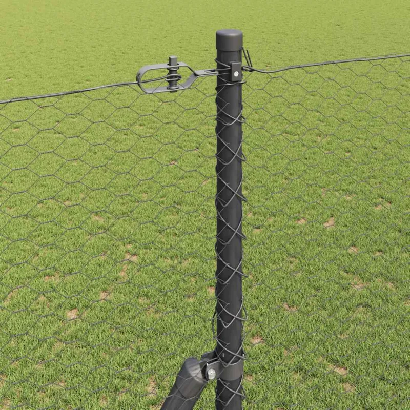 Pagrindo Suvirintas Vielos Tvora 10 x 1,6 m (Plotis x Aukštis)
