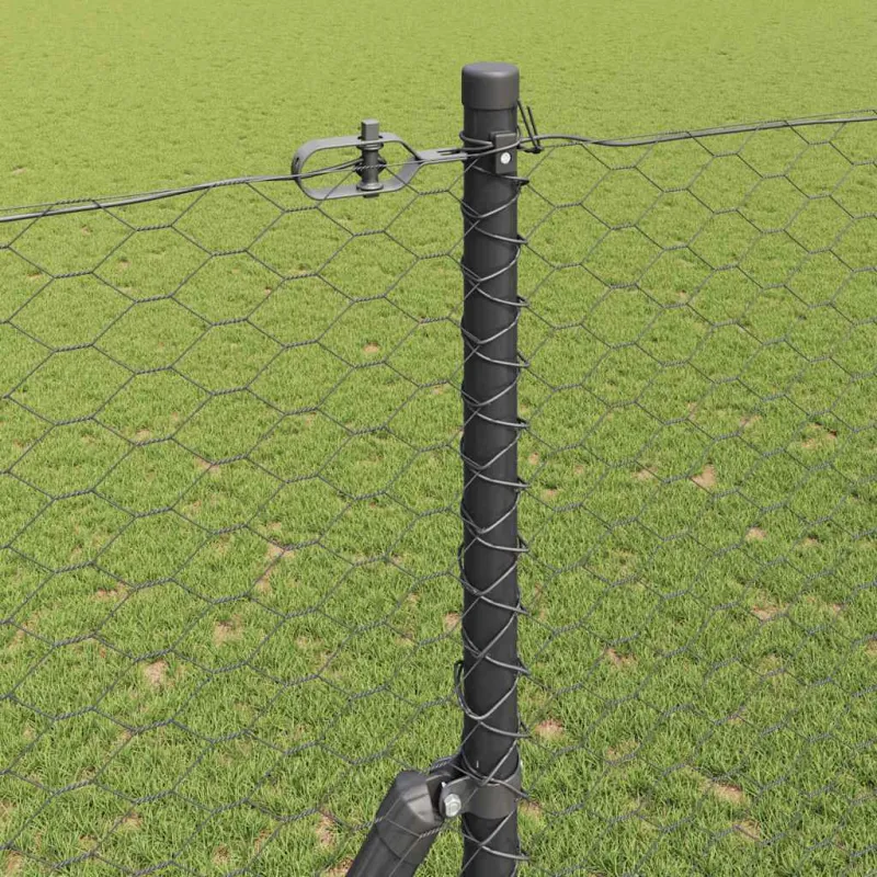 Pagrindo Suvirintas Vielos Tvora 10 x 1,6 m (Plotis x Aukštis)