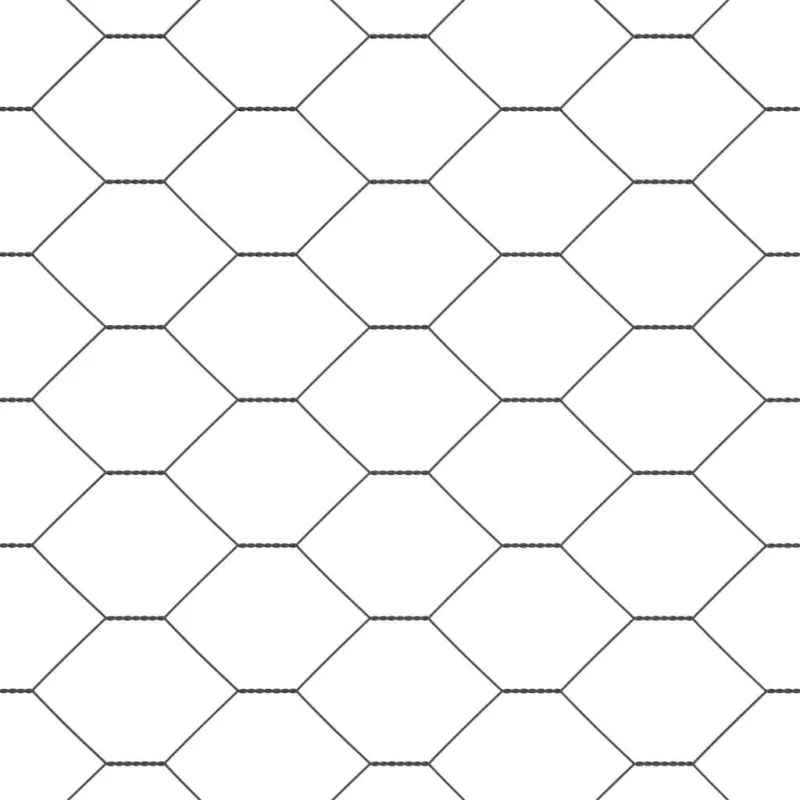 Pagrindo Suvirintas Vielos Tvora 50 x 1 m (Plotis x Aukštis)