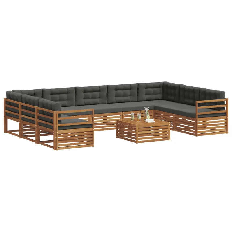 Lauko sofos komplektas 10 pcs Natūralus ir antracitas