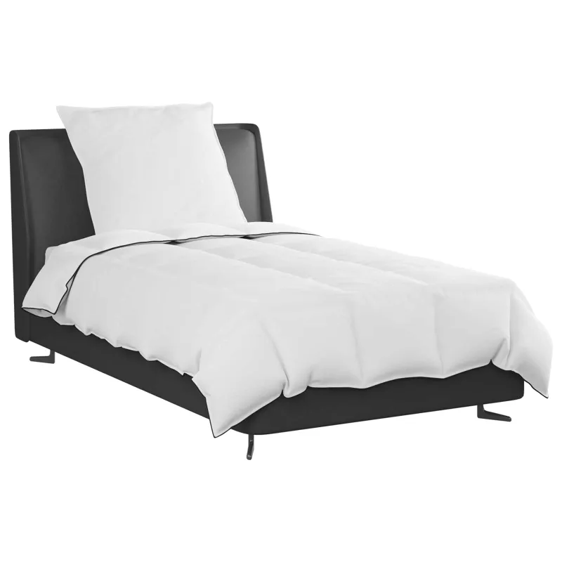 Žiemos antklodė su pagalve 2 pcs Balta Plunksna