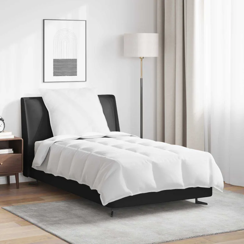 2-in-1 Antklodė su pagalve 2 pcs Balta Plunksna
