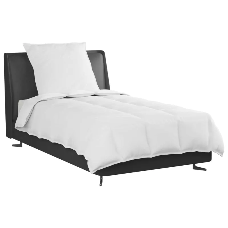 2-in-1 Antklodė su pagalve 2 pcs Balta Plunksna