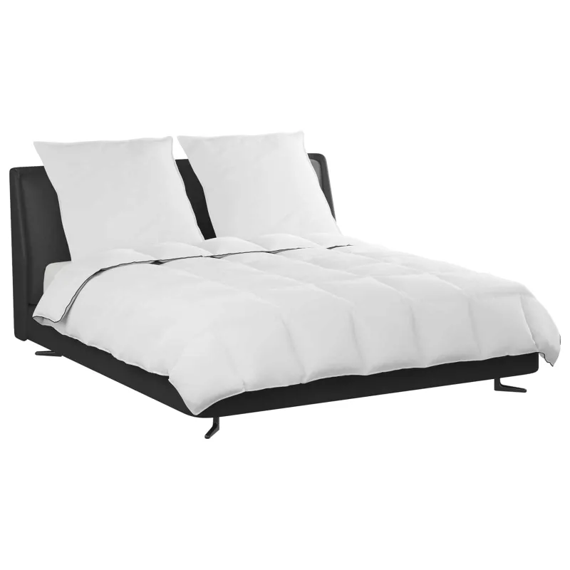 Žiemos antklodė su pagalve 3 pcs Balta Plunksna