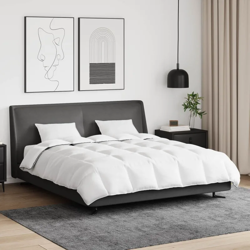 Žiemos antklodė su pagalve 3 pcs Balta Plunksna