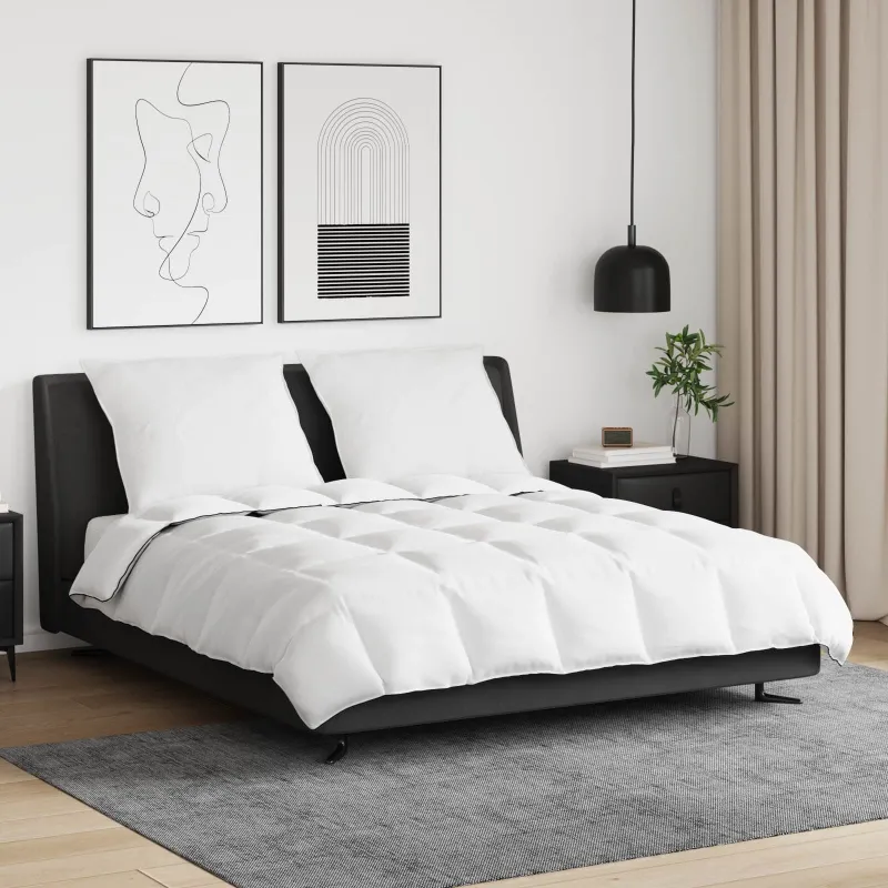 Žiemos antklodė su pagalve 3 pcs Balta Plunksna