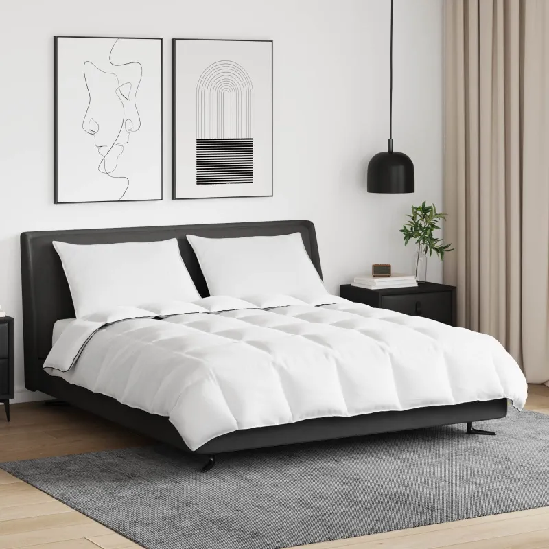 Žiemos antklodė su pagalve 3 pcs Balta Plunksna