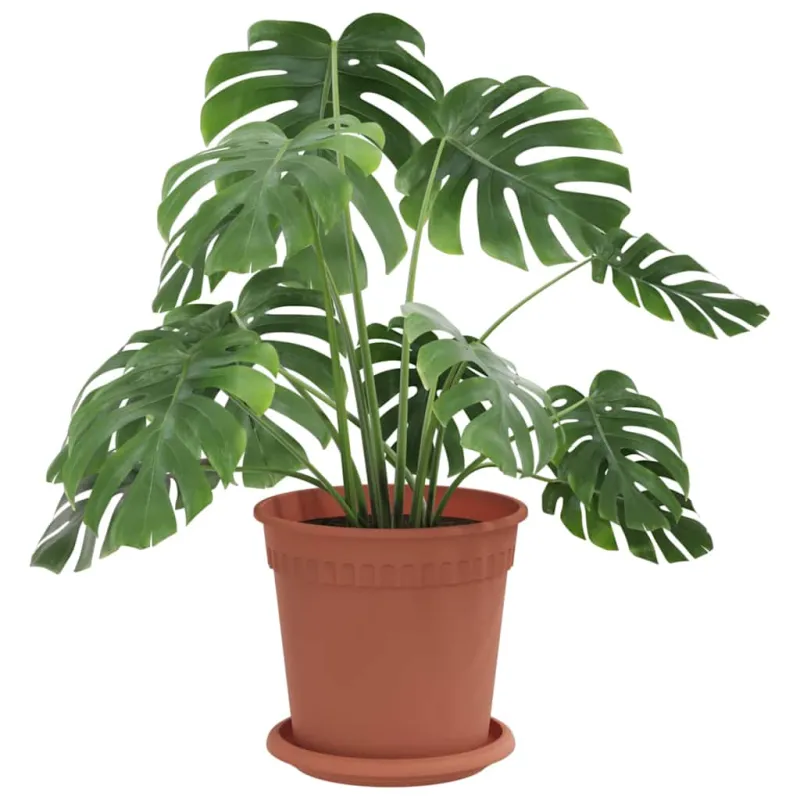 Augalų vazonai 6 pcs Raudona plyta Ø 17 x 14 cm Plastmasė