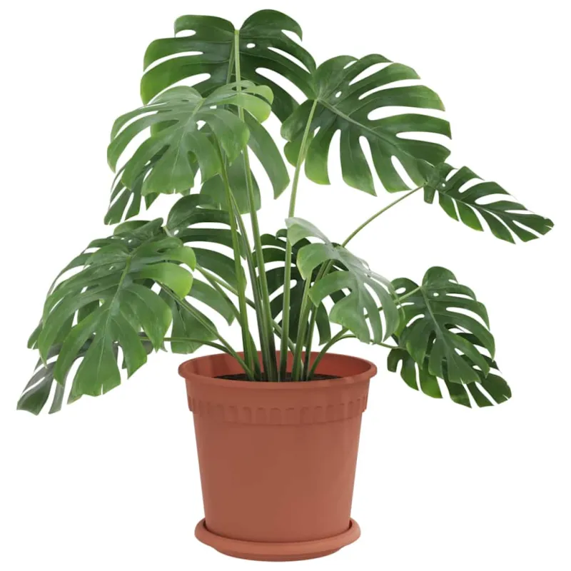 Augalų vazonai 6 pcs Raudona plyta Ø 19 x 16 cm Plastmasė