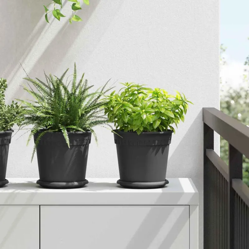 Augalų vazonai 6 pcs Juoda Ø 19 x 16 cm Plastmasė