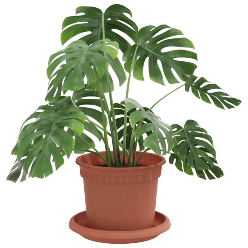 Augalų vazonai 24 pcs Raudona plyta Ø 12,5 x 10 cm Plastmasė