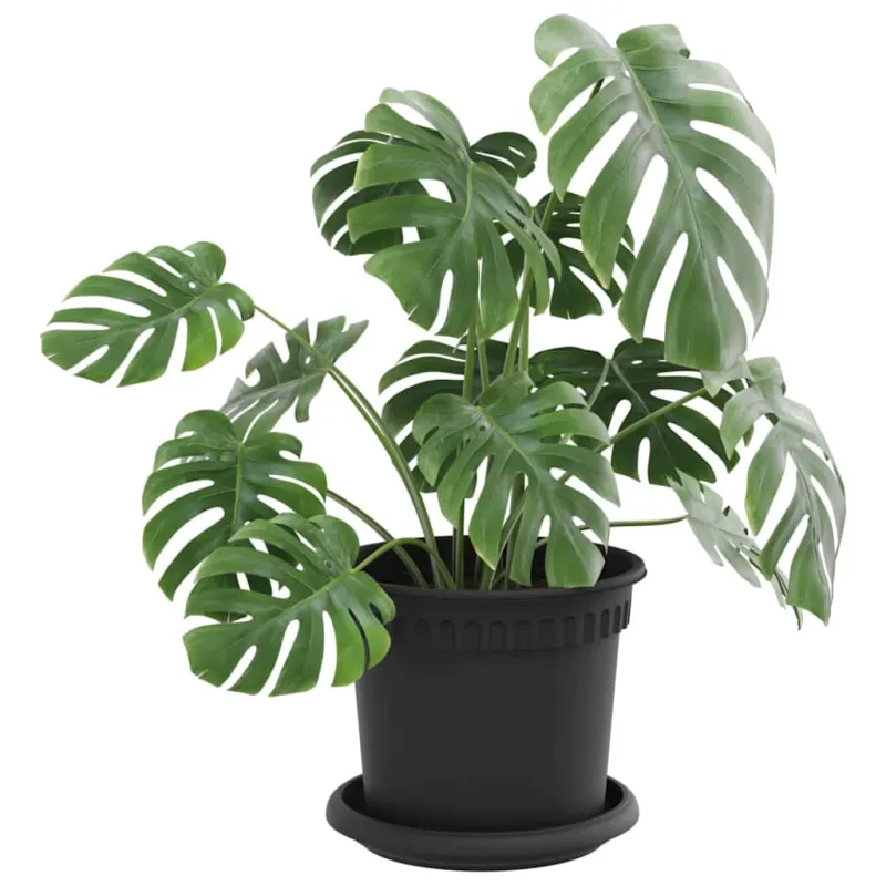 Augalų vazonai 24 pcs Juoda Ø 15 x 12 cm Plastmasė