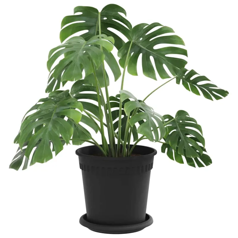 Augalų vazonai 24 pcs Juoda Ø 17 x 14 cm Plastmasė