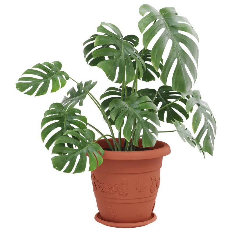 Augalų vazonai 6 pcs Raudona plyta Ø 39 x 32 cm Plastmasė