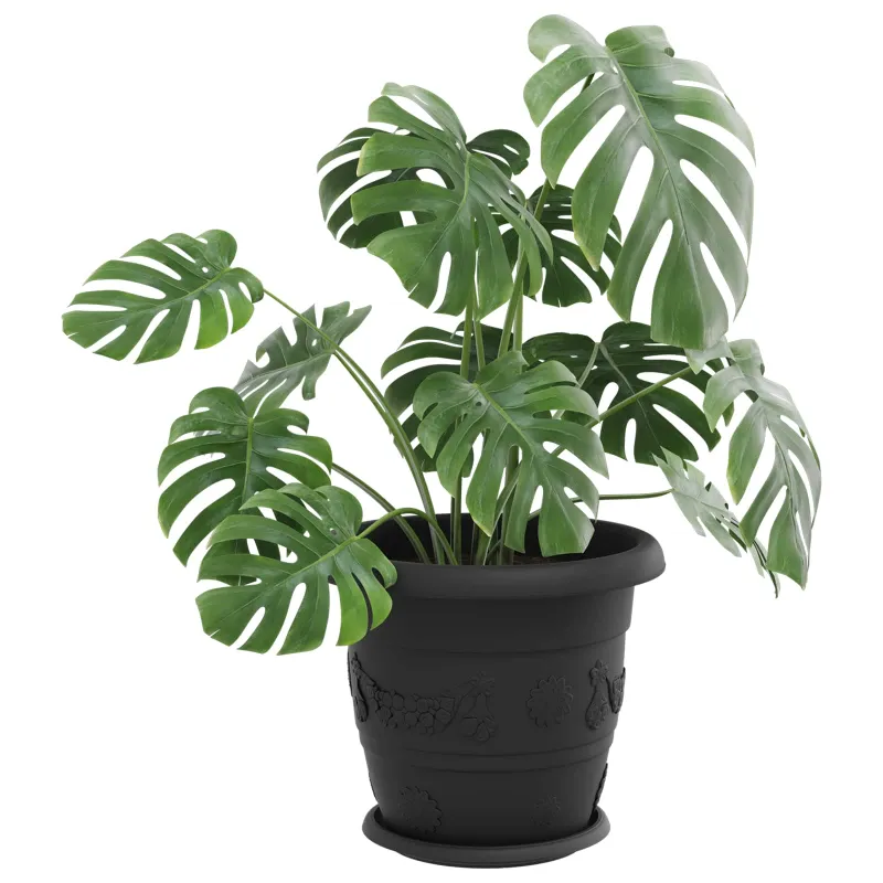 Augalų vazonai 6 pcs Juoda Ø 34 x 28 cm Plastmasė