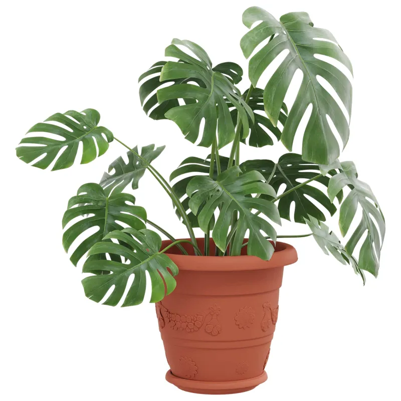 Augalų vazonai 24 pcs Raudona plyta Ø 22 x 18 cm Plastmasė
