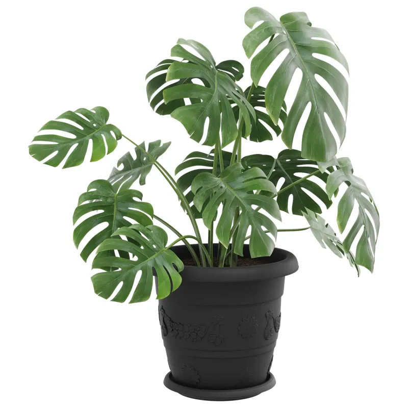 Augalų vazonai 24 pcs Juoda Ø 30 x 25 cm Plastmasė