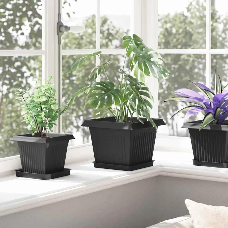 Augalų vazonai 6 pcs Juoda 23 x 23 x 17,5 cm Plastmasė