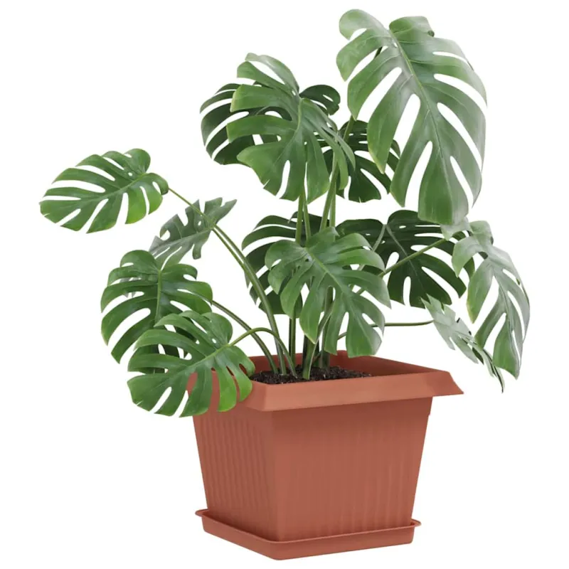 Augalų vazonai 24 pcs Raudona plyta 23 x 23 x 17,5 cm Plastmasė