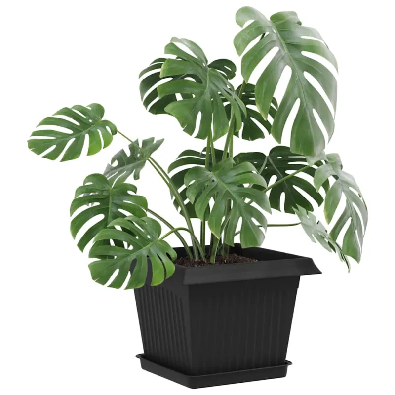 Augalų vazonai 24 pcs Juoda 23 x 23 x 17,5 cm Plastmasė