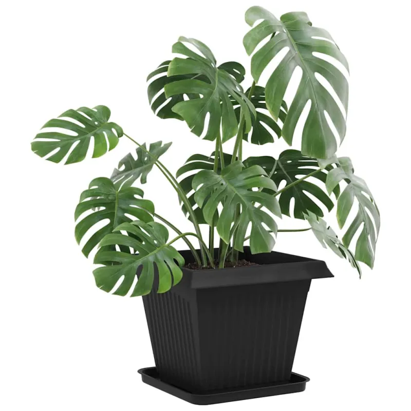 Augalų vazonai 24 pcs Juoda 38 x 38 x 30 cm Plastmasė