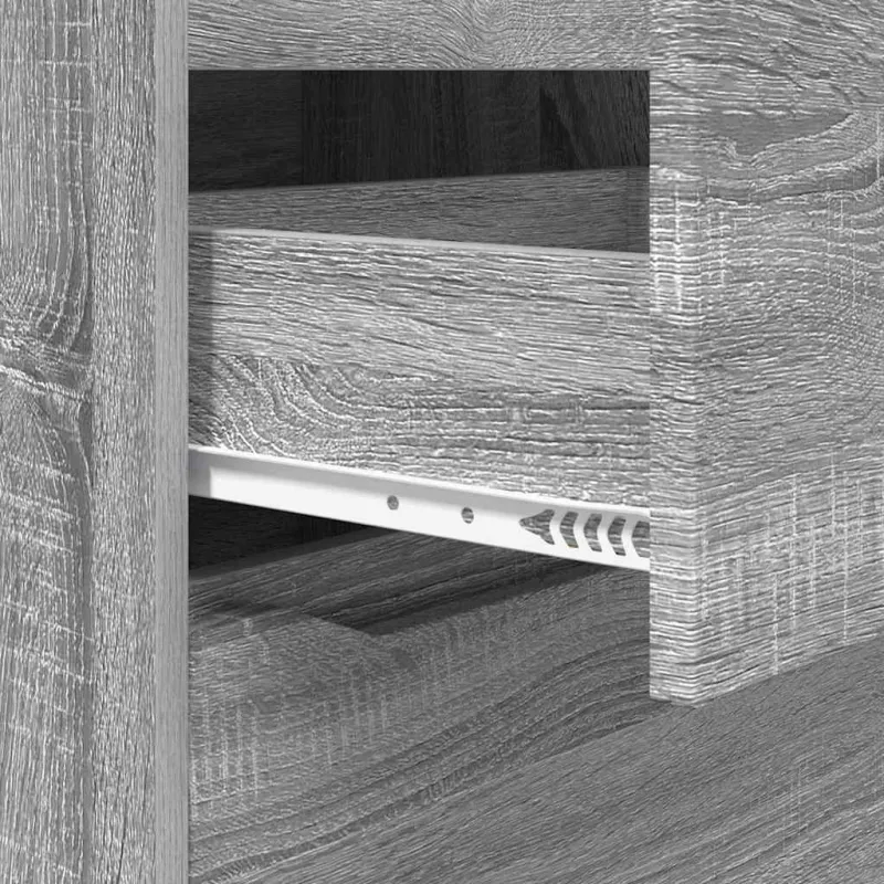 Saugojimo spintos Pilkas Sonoma 60 x 48 x 105 cm