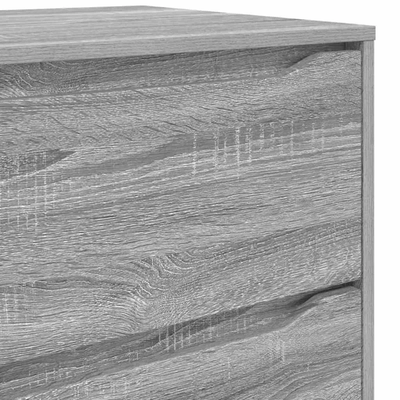 Saugojimo spintos Pilkas Sonoma 60 x 48 x 105 cm