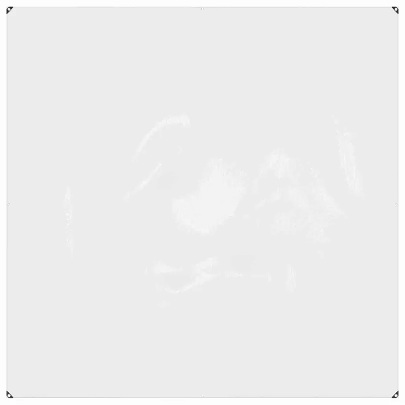 Augalų uždangalas Skaidrus 2 x 2 m PVC