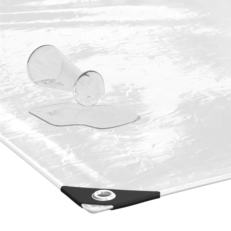 Augalų uždangalas Skaidrus 6 x 10 m PVC