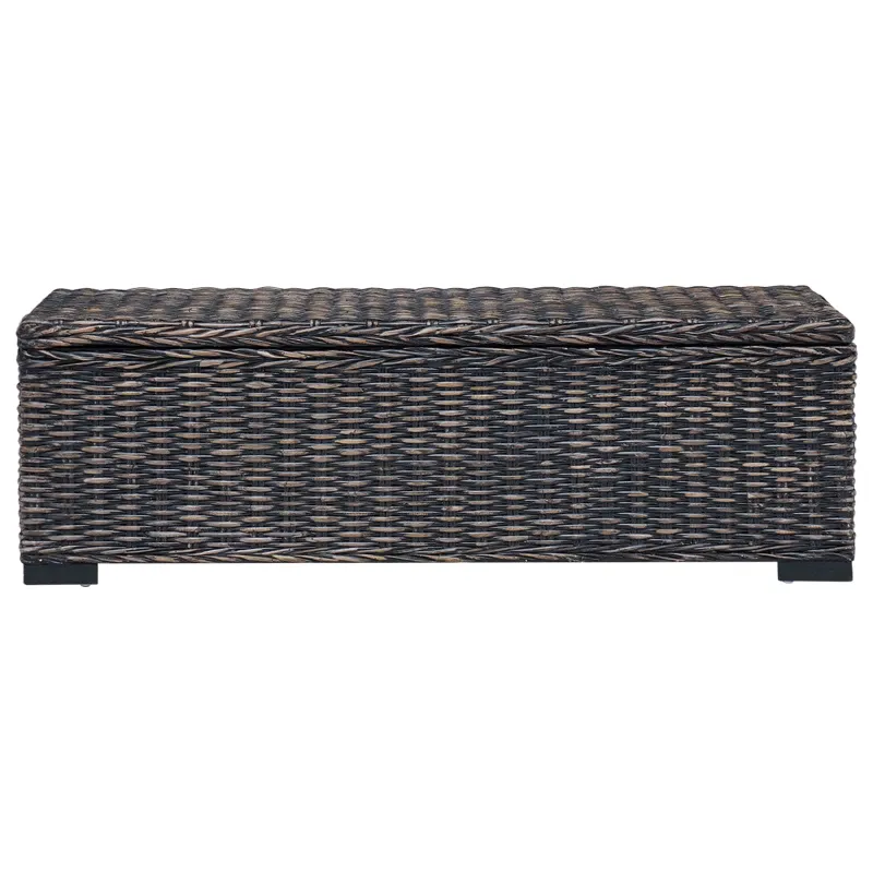 Saugojimo dėžė su saugykla Juoda 110 x 35 x 45 cm