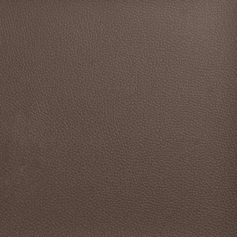 Galvūgalio ausis Gelsvai ruda 80 x 23 x 6 cm PVC