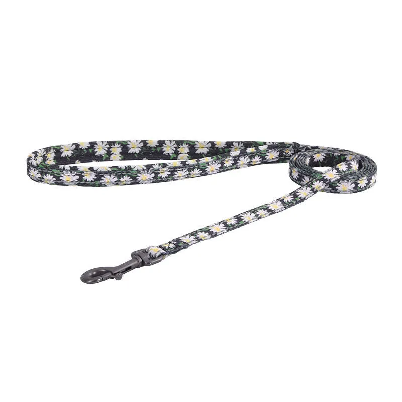 Koerakomplekt Dogness rihm ja jalutusrihm (Daisy Black) universaalne