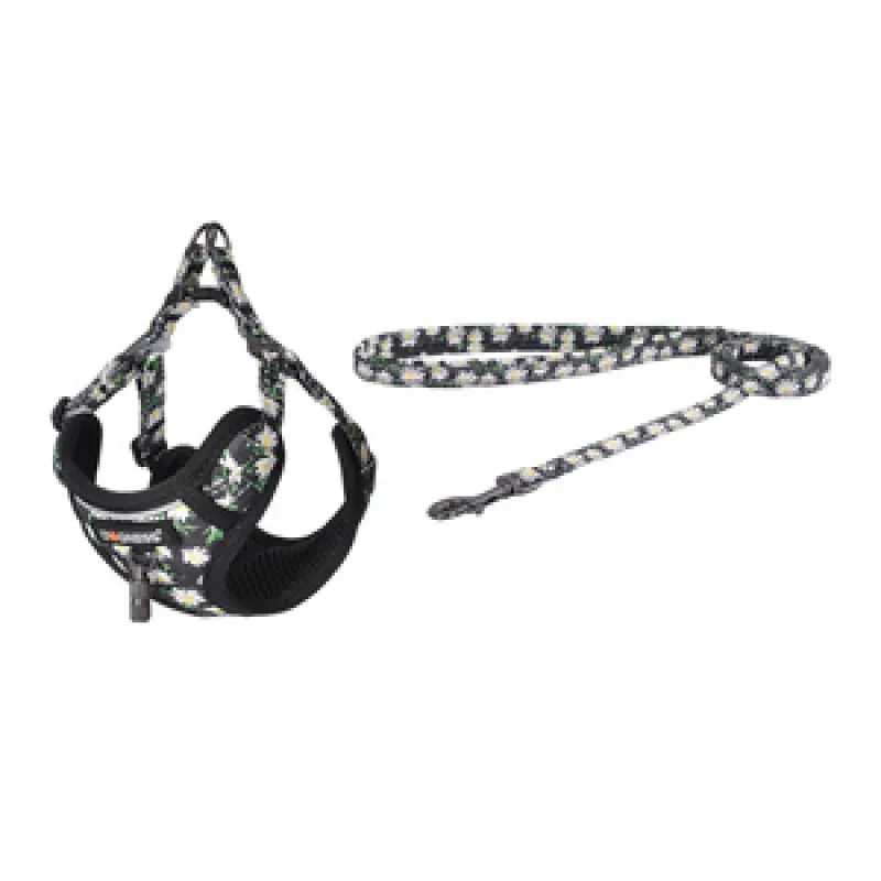 Koerakomplekt Dogness rihm ja jalutusrihm (Daisy Black) universaalne