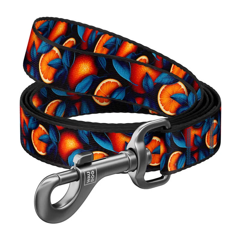 Nailonkoeruse rihm, muster ''Oranges'', pikkus 122 cm Waudog universaalne