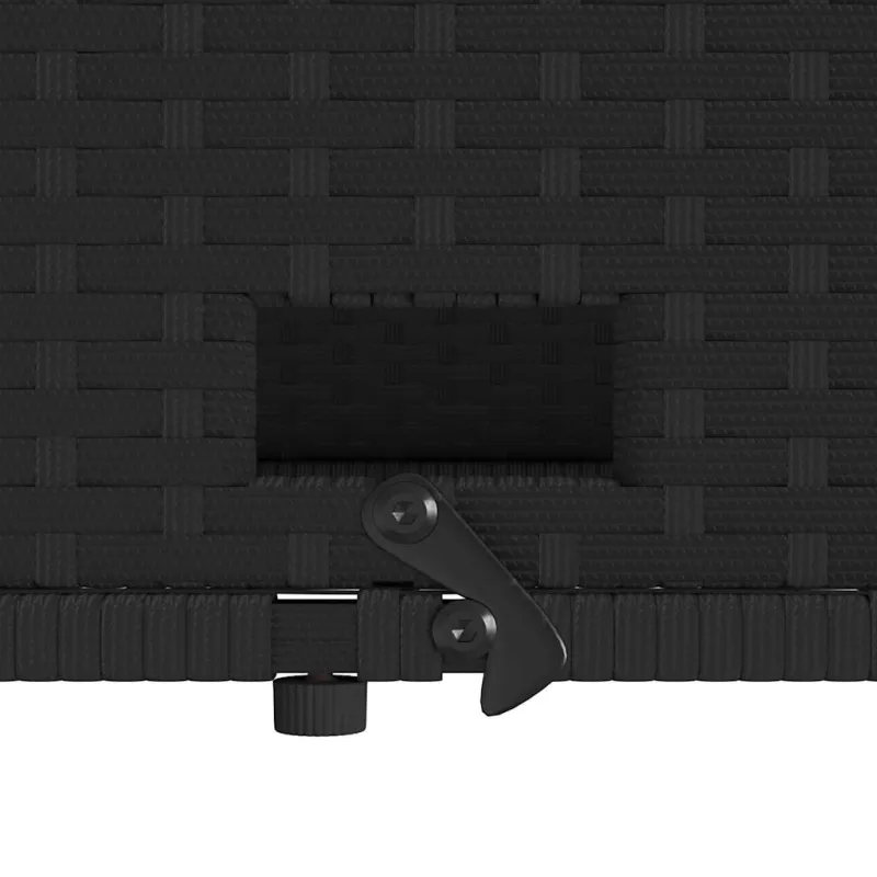 Dvivietė sodo sofa su pagalvėlėmis, juoda, poliratanas/akacija