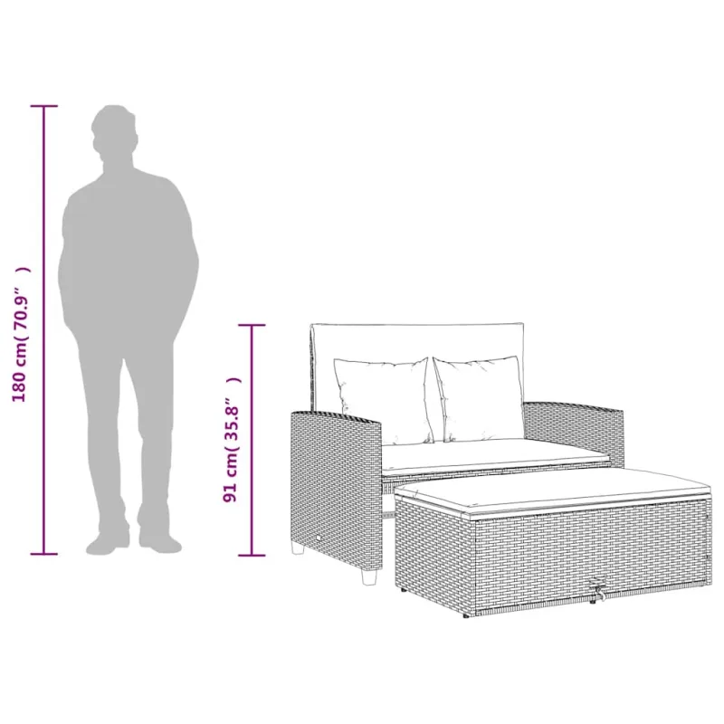 Dvivietė sodo sofa su pagalvėlėmis, smėlio, poliratanas/akacija