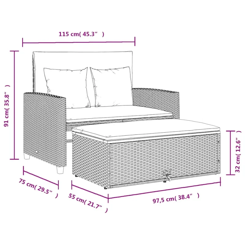 Dvivietė sodo sofa su pagalvėlėmis, smėlio, poliratanas/akacija