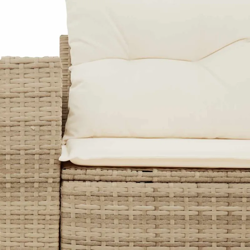 Dvivietė sodo sofa su pagalvėlėmis, smėlio spalvos, poliratanas