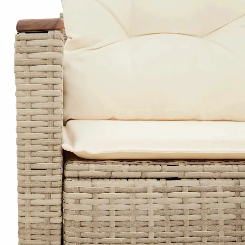 Dvivietė sodo sofa su pagalvėlėmis, smėlio spalvos, poliratanas
