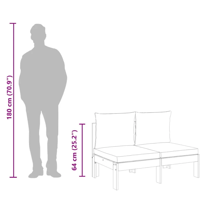Dvivietė sodo sofa su pagalvėlėmis, akacijos medienos masyvas