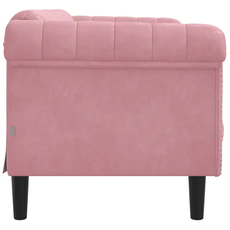 Dvivietė sofa, rožinės spalvos, aksomas