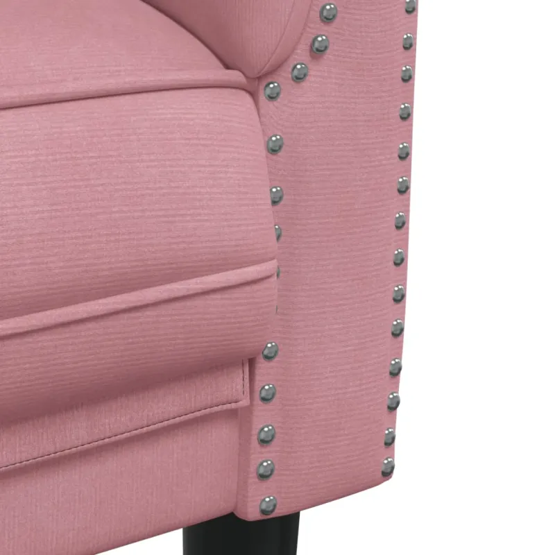 Dvivietė sofa, rožinės spalvos, aksomas