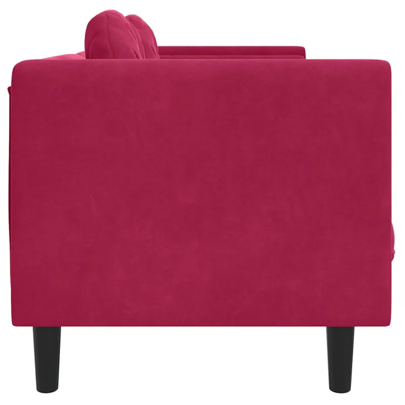 Dvivietė sofa su pagalvėlėmis, vyno raudonos spalvos, aksomas