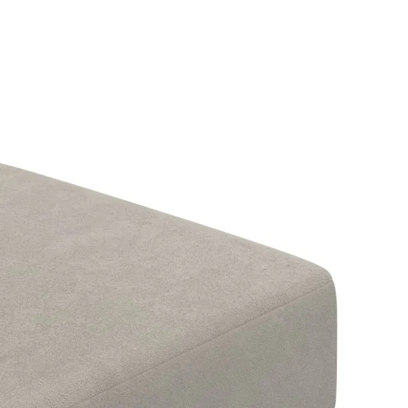 Dvivietė sofa-lova, šviesiai pilkos spalvos, aksomas