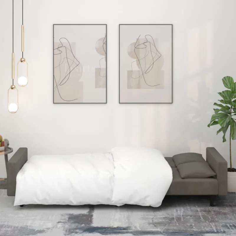 Dvivietė sofa-lova su dvejomis pagalvėmis, pilka, aksomas