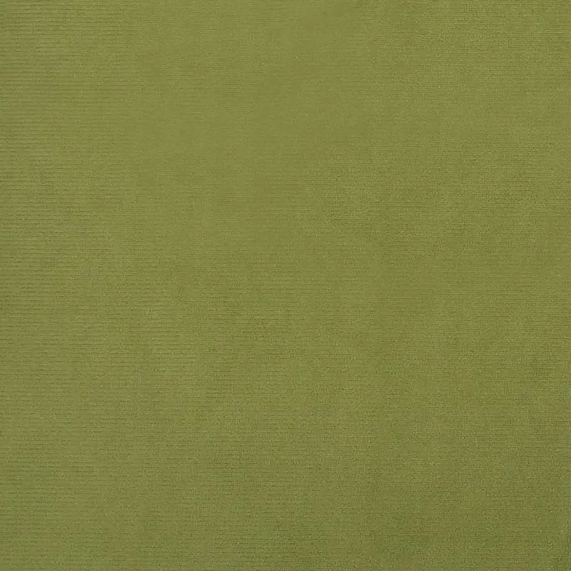 Dvivietė sofa-lova, šviesiai žalios spalvos, aksomas