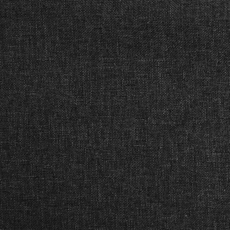 Dvivietė sofa-lova su dvejomis pagalvėmis, juoda, audinys