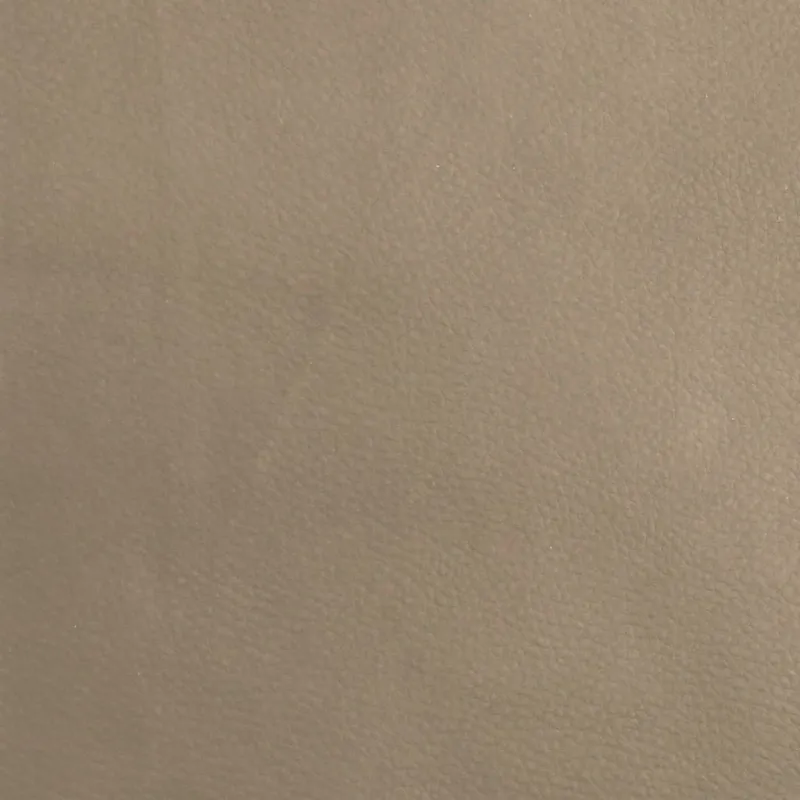 Dvivietė sofa-lova, kapučino spalvos, dirbtinė oda