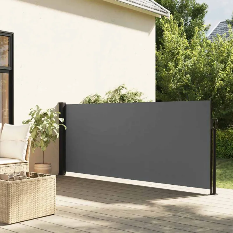 Ištraukiama šoninė markizė, antracito spalvos, 100x300 cm